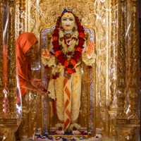 Daily Darshan